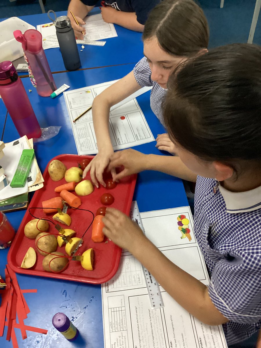 StSebsY6's tweet photo. In our last Science lesson of our current topic we discussed the damage that batteries can do. As an alternative we tested several fruits and vegetables to see which would give us the most power. #SebsScience @stsebastiansPri @LjmuAbsChem https://t.co/E1ROHWv3Ap