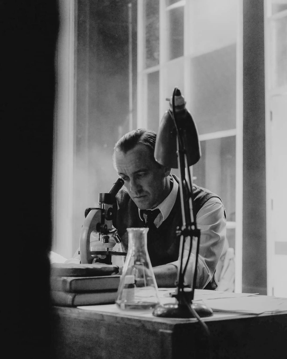 Felton_Mx22's tweet photo. Actualización, Tom vía instagram. 🦆
*Trabajando duro @BristolOldVic #ChildOfScience📸 @ ciarahillyer"
#TomFelton #TomFelton_Mexico https://t.co/AaafzNNetB