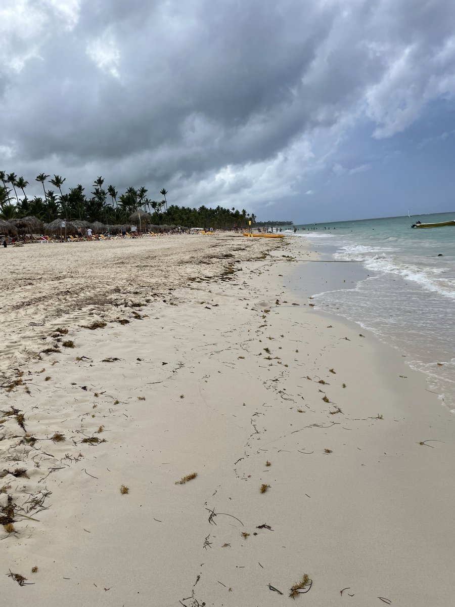 Keonté Beals tweet media