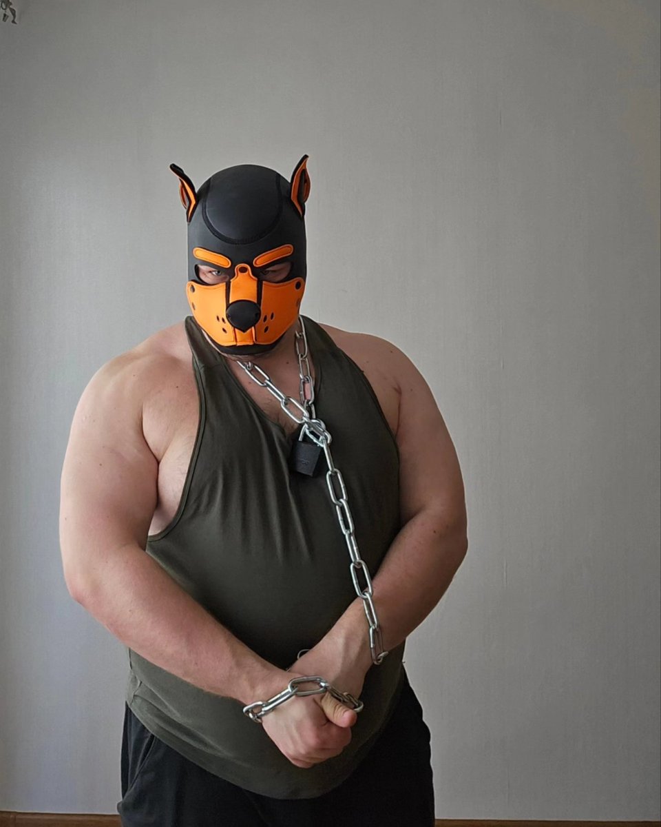 Pup_Leox's tweet photo. Would you like to take this Alpha for a walk? 

#pupplay #puphood #puplife #pupplaycommunity #bear #gay #bi #gaypup #grommr #musclebear #gaybear #exjock https://t.co/F8ITatylpf