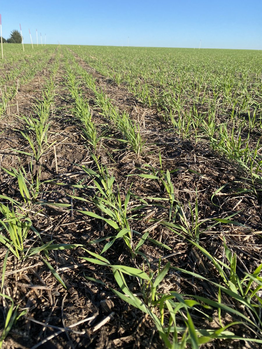 Cada vez mas enamorada de mi oficina 🫠. Por fin ☀️!