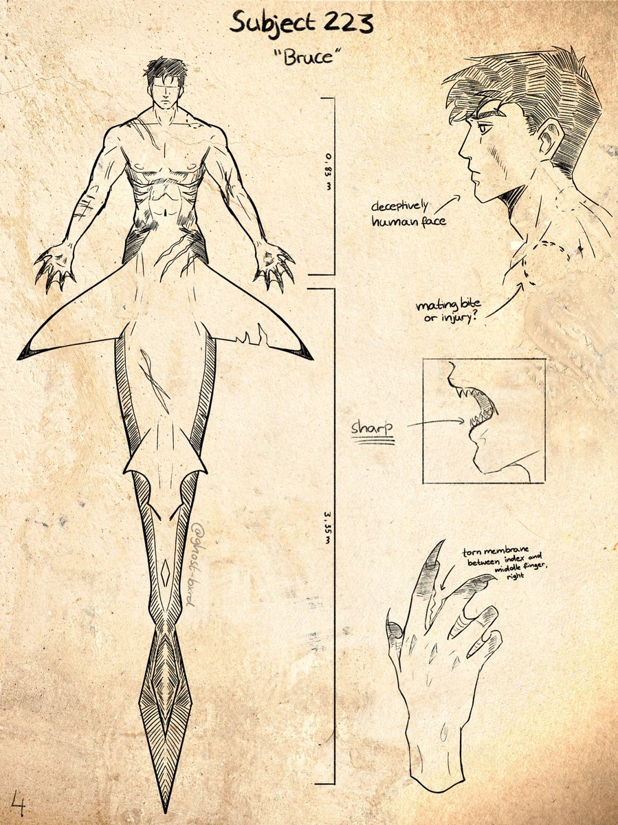 Ghxst_Bird's tweet photo. Notes left by a mysterious researcher 👁️🌊
#BruceWayne #batman #mermaids #digitalart #illustration #MerAu https://t.co/av5N2cQvrS