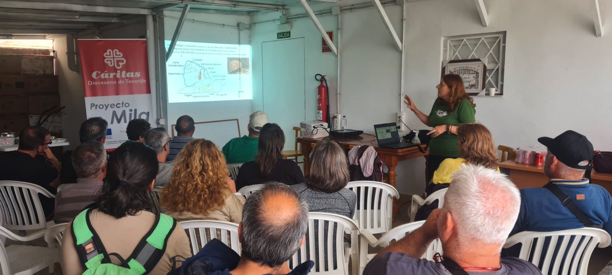 CanBioCanarias's tweet photo. 🐌Más de 20 voluntarios disfrutaron de la charla sobre las particularidades de las #chuchangas realizada por Carolina Castillo. #CanBio también promovió la app de @inaturalist para fomentar la #cienciaciudadana.
@LP__Fundacion @FECYT_Ciencia @ULL @ULPGC #gobiernodecanarias https://t.co/eQYnCFgDZg