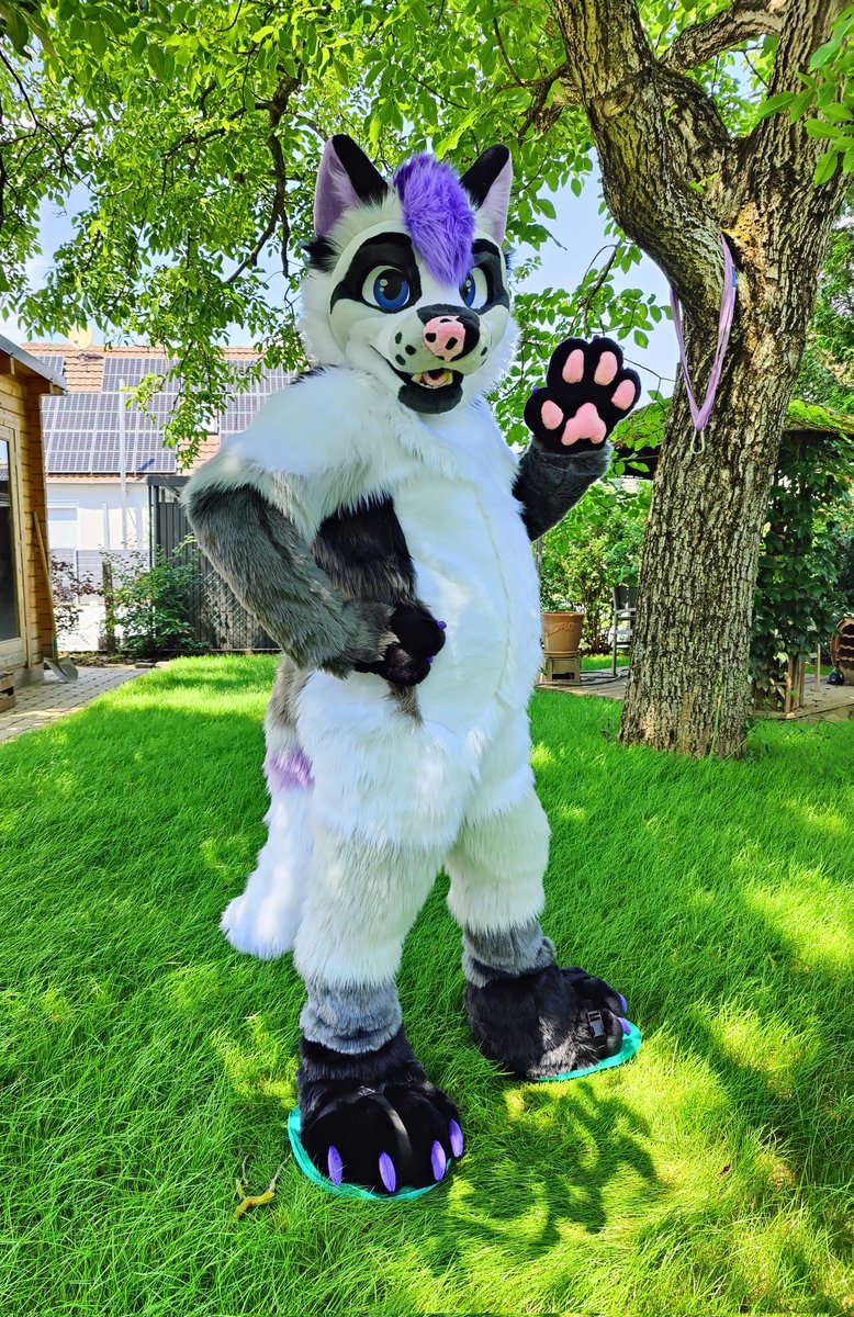 Fullsuit Chacha? Fullsuit Chacha! 
Now this lil bean is finally completed! 🥰