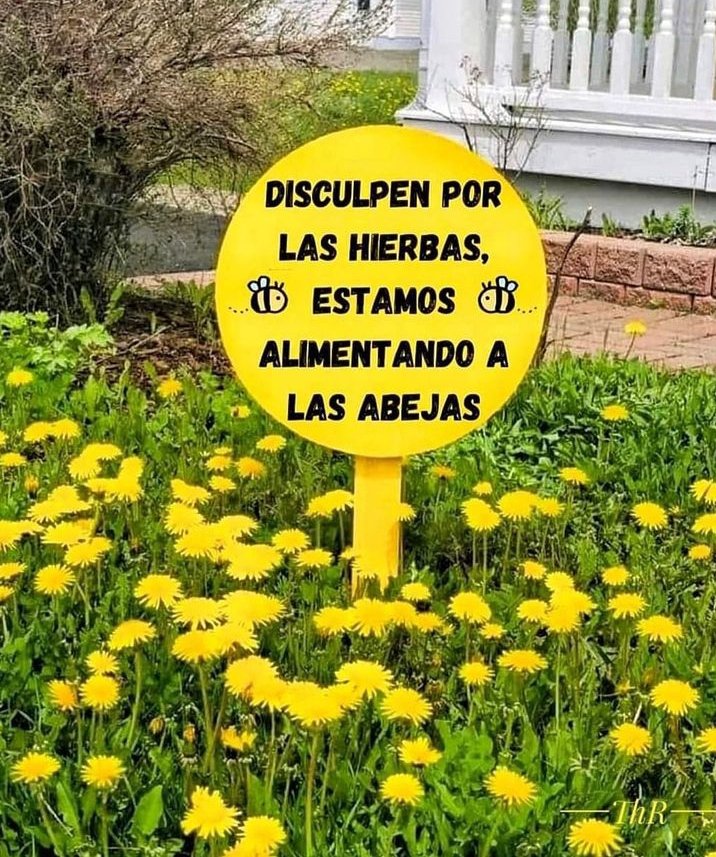 🌼🌻🐝🐝🌻🌼

@monlerasayto

#bajotormes #centrointerpretación #monleras #salamanca #spain #arribesdelduero #campocharro #campo #rural #medioambiente♻️ #puebloscastillayleon #pueblo #presaalmendra #pantanoalmendra