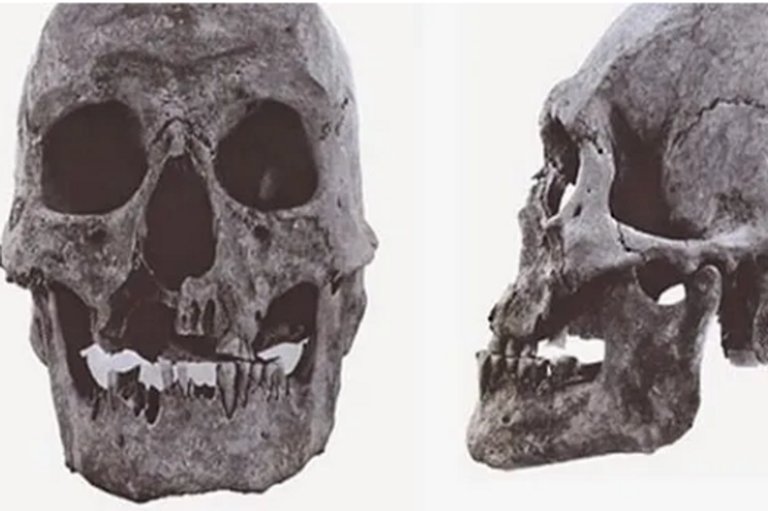 carlbeckles's tweet photo. 10-foot-tall people' discovered by archaeologists in Nevada cave https://t.co/DseGASvsPs Mythology, folklore and even #Bible tell us giants once roamed earth. And, it turns out, there’s evidence to back this claim. MSN. If these skulls exist then there's biblical truth! https://t.co/NFrMRUcqRc