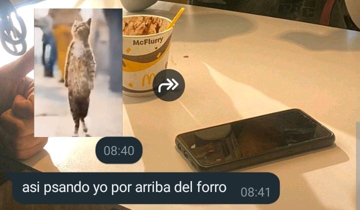 nicolaslowed's tweet photo. habia un forro https://t.co/JbESn9tVIq