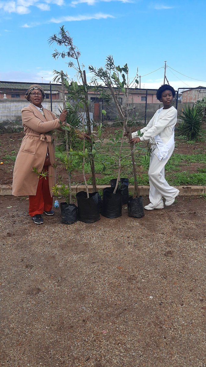 SRFoundation22's tweet photo. We are thrilled that our ambassador in South Africa, Mbali Mihlali Ndzundzu, is successfully advancing the our goals by planting trees in Nelson Mandela Bay, Port Elizabeth, SA 🌳💪 

💻: David D. Kiteve

#GirlsInclusion #GirlsForClimate #RaisingVoices  #SchoolOutreach https://t.co/HtKrSlqi1Y