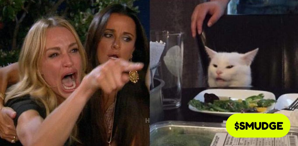 Smudgecatmoon's tweet photo. Use this meme template! https://t.co/4PylKGdpJT