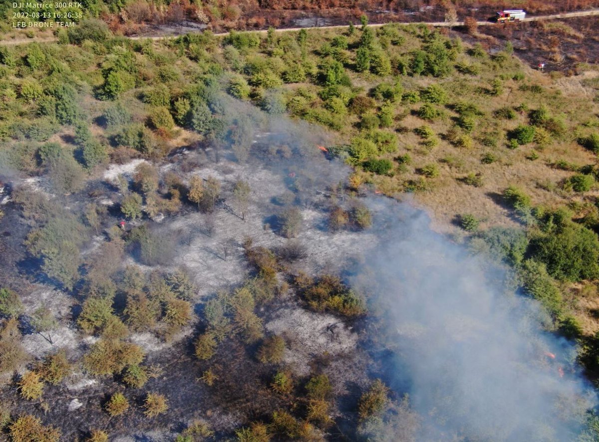 We're asking Londoners to help us prevent further grass fires after a grass fire in #Erith yesterday. 

Don’t barbecue in open spaces or on balconies, throw your rubbish away safely and put your cigarettes out properly (stock image) orlo.uk/qanLD