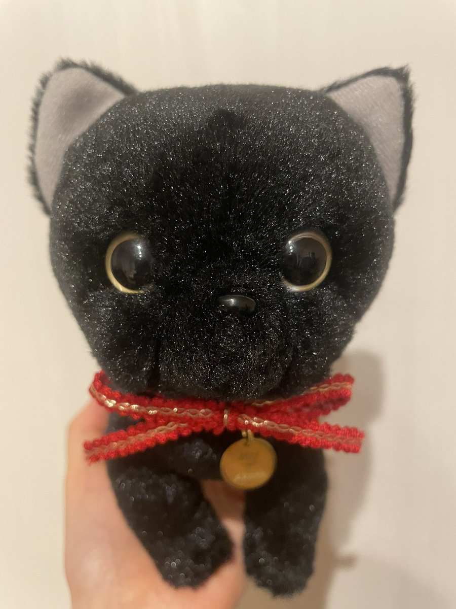 a_yabushima's tweet image. CatChu!ができたぐらいにさゆりママがくれた猫ちゃん☺️❤️
CatChu!ちゃんみんな持ってるんだ〜！
#lovelive #Liella #CatChu