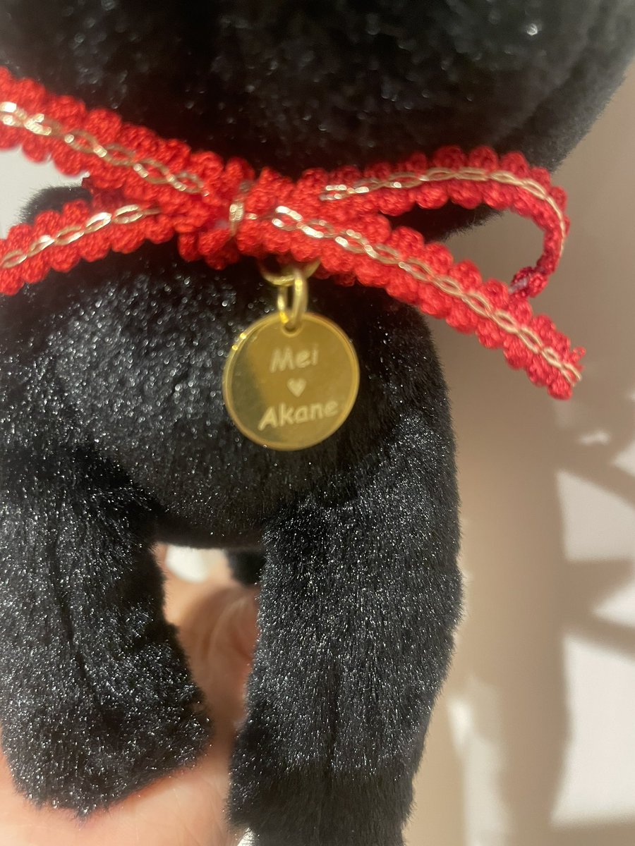 a_yabushima's tweet image. CatChu!ができたぐらいにさゆりママがくれた猫ちゃん☺️❤️
CatChu!ちゃんみんな持ってるんだ〜！
#lovelive #Liella #CatChu