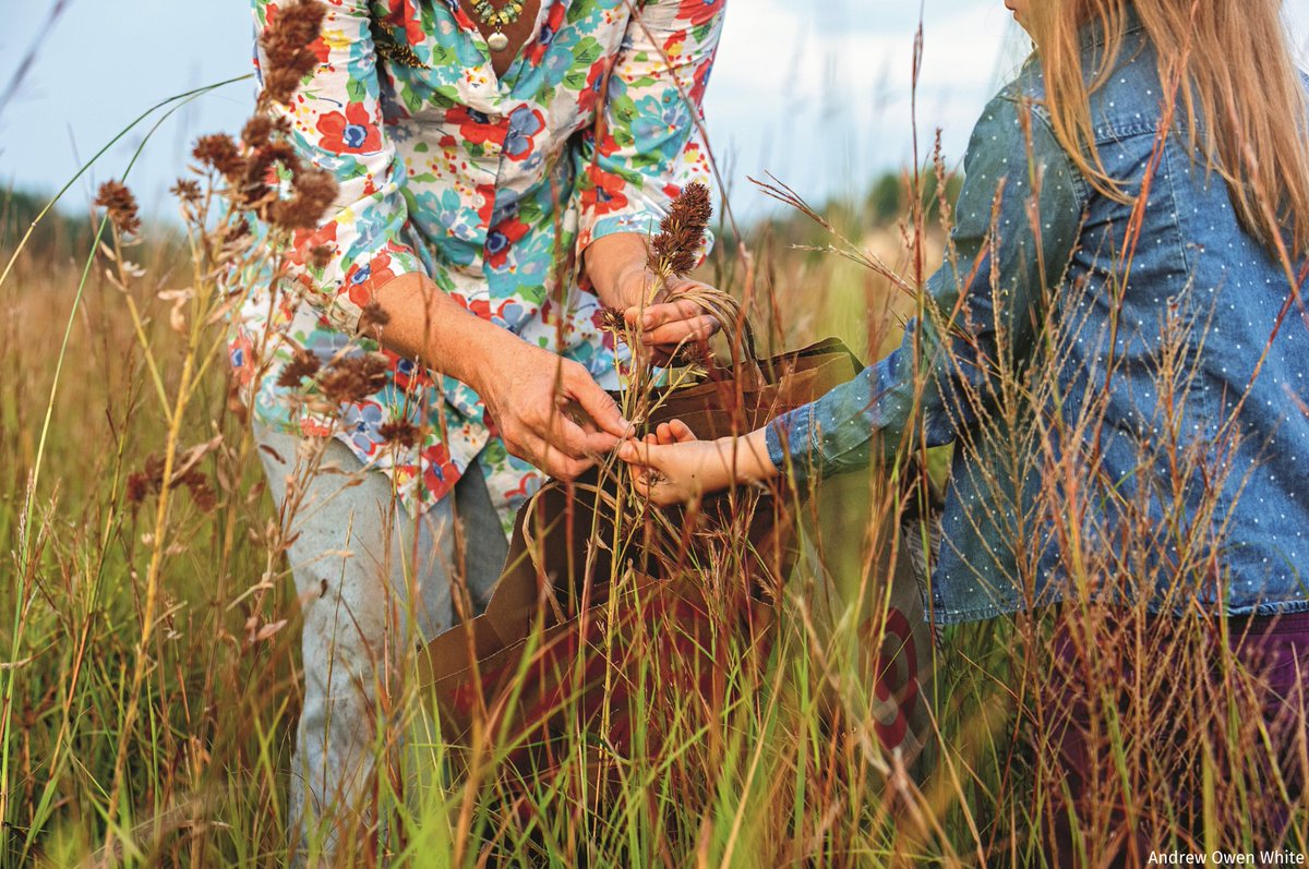 A Colossal Need for Native Seed 🌱

Restoring wildlife habitat on fatigued public land starts with native seed—a commodity in short supply. Can the National Seed Strategy sow the grounds for success? Read the National Wildlife Magazine Spring 2024 Issue 📲 ow.ly/VOIl50SmGaM