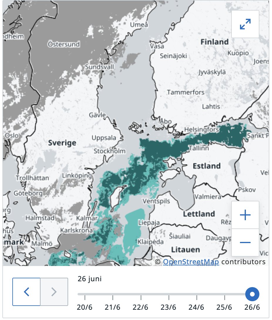 Nu är algblomningen igång ighen i Östersjön. Att använda  marin biomassa som vass och släke kan bidra till åtgärdsarbetet. Diskussion med akademi, myndighet och näringsliv live.mediaflow.com/26CBC18OU3 #blåmat #econova #Almedalsveckan #Almedalen2024 #Almedalen #östersjödagarna