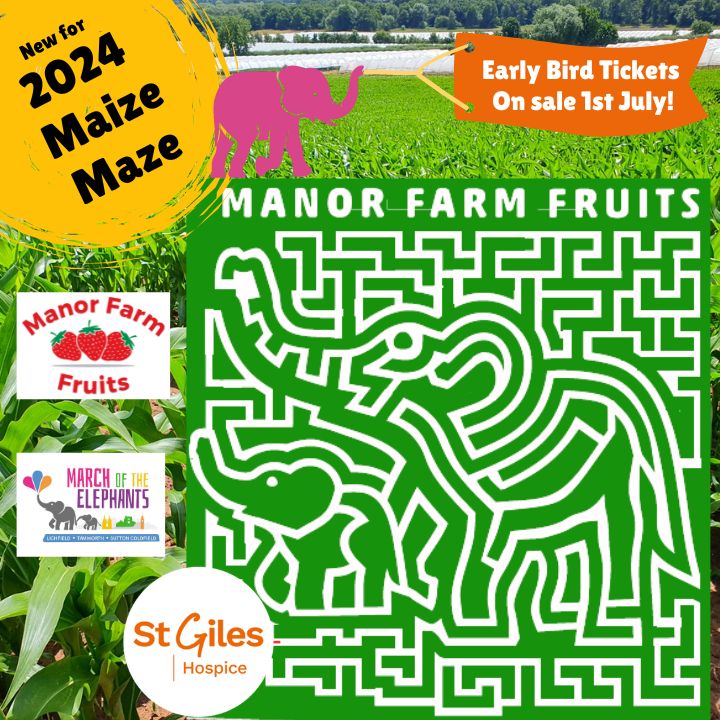 🐘🌽 This year, our Maize Maze is celebrating jumbo style with a stunning Momma and Baby elephant design to celebrate our involvement in The March of the Elephants trail in aid of St Giles Hospice. Gather your herd for an adventure on our farm this summer! #communityproject