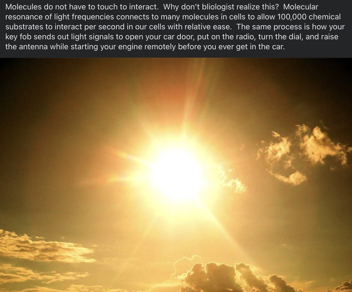 Tweet image 1