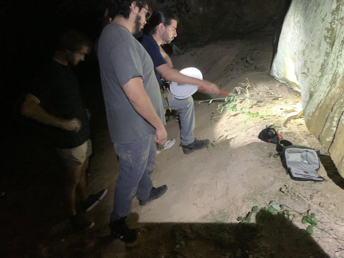 Pᴀʀᴋɪɴsᴏɴ Lᴀʙ tweet media