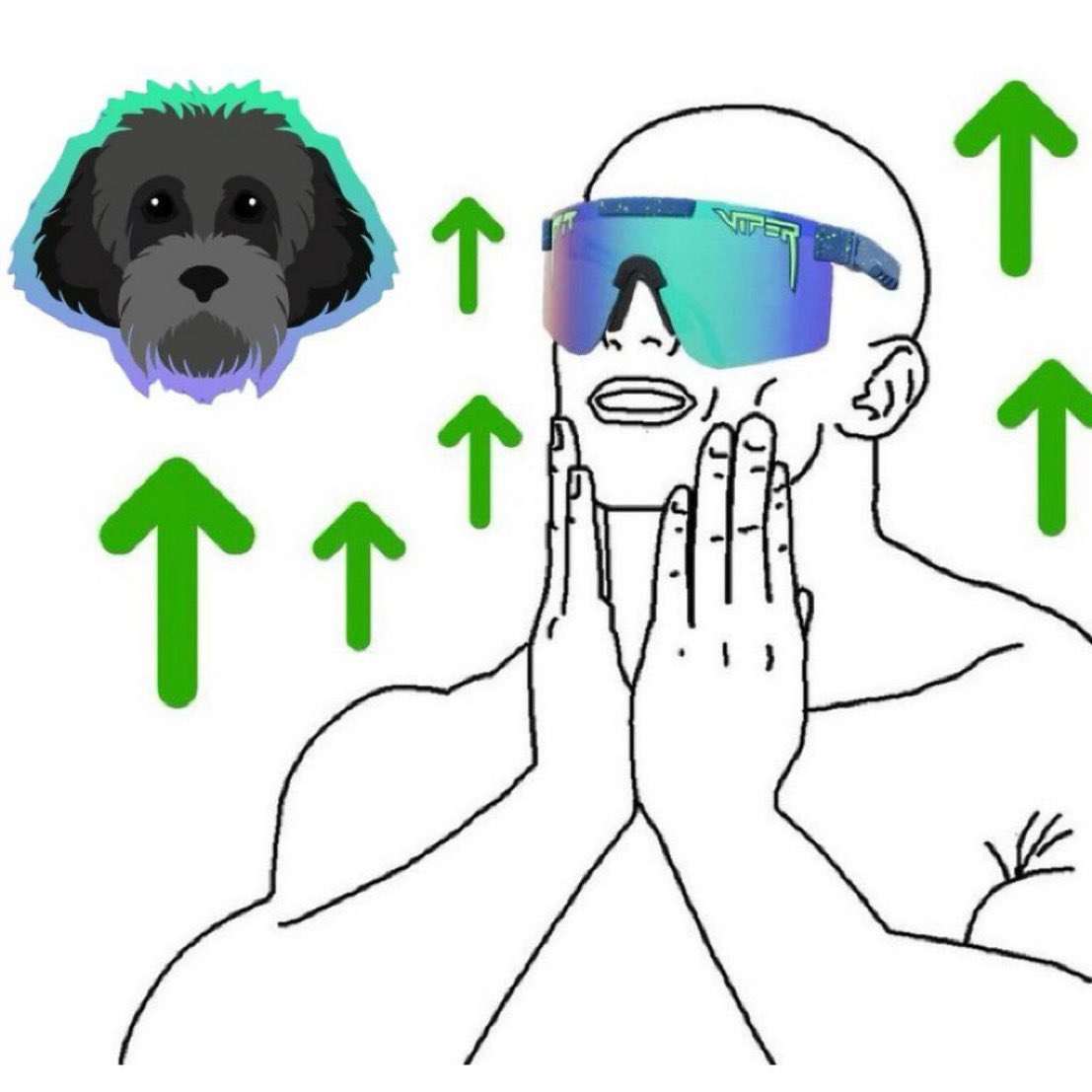 Send the ecosystem higher 🐕‍🦺

$SOL $MYRO