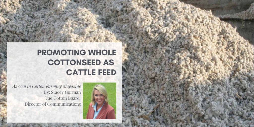 Cotton growers and dairy farmers know the value of cotton lies not only in its textile uses but also in its byproduct, whole cottonseed. <a href="/CottonInc/">Cotton Incorporated</a> works to maximize cotton-grower profit from whole cottonseed through education and marketing. ow.ly/1jMa50SqnPL