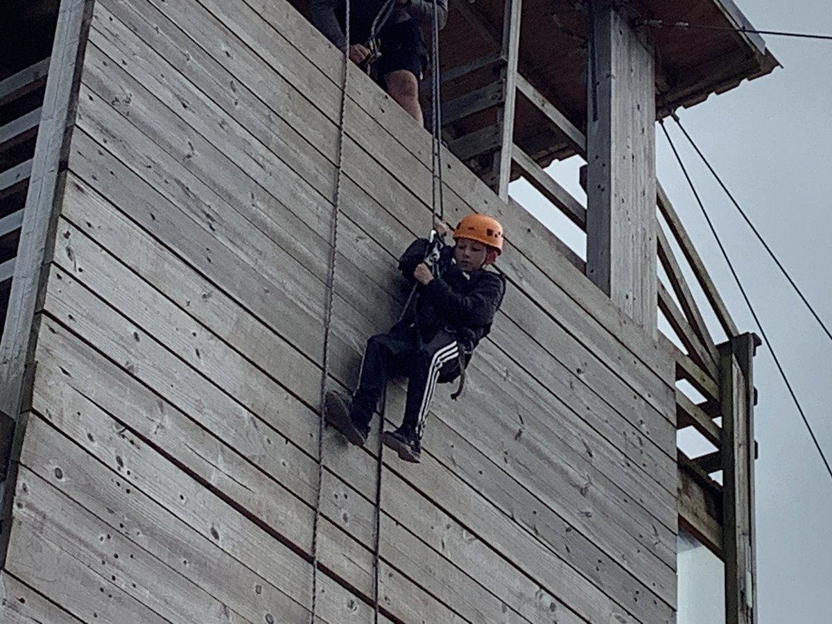 Ms Whitehead tweet media