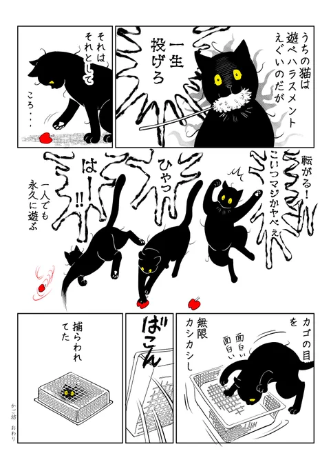 筆坊日記29

#漫画が読めるハッシュタグ #猫 #マンガが読めるハッシュタグ 