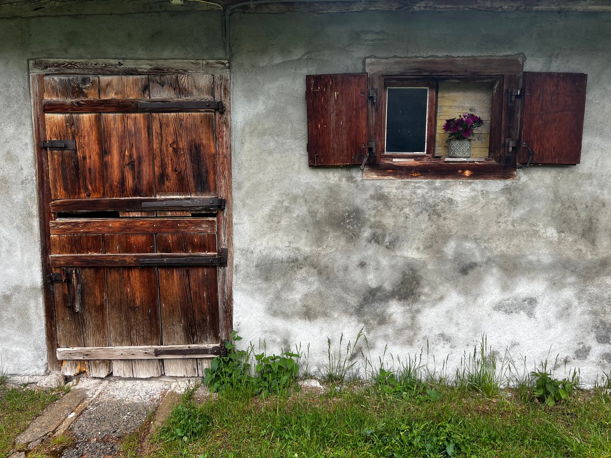 World Biodiversity Forum tweet media