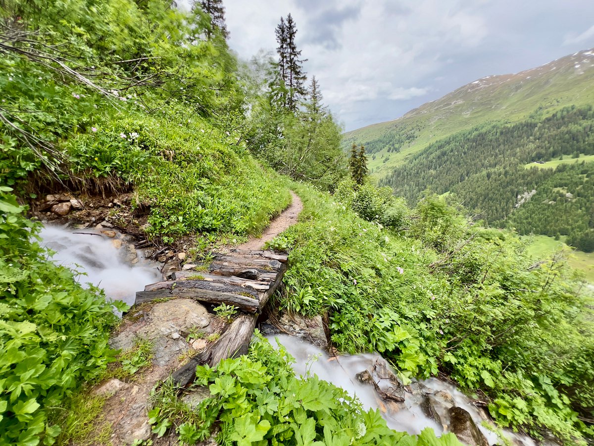 World Biodiversity Forum tweet media