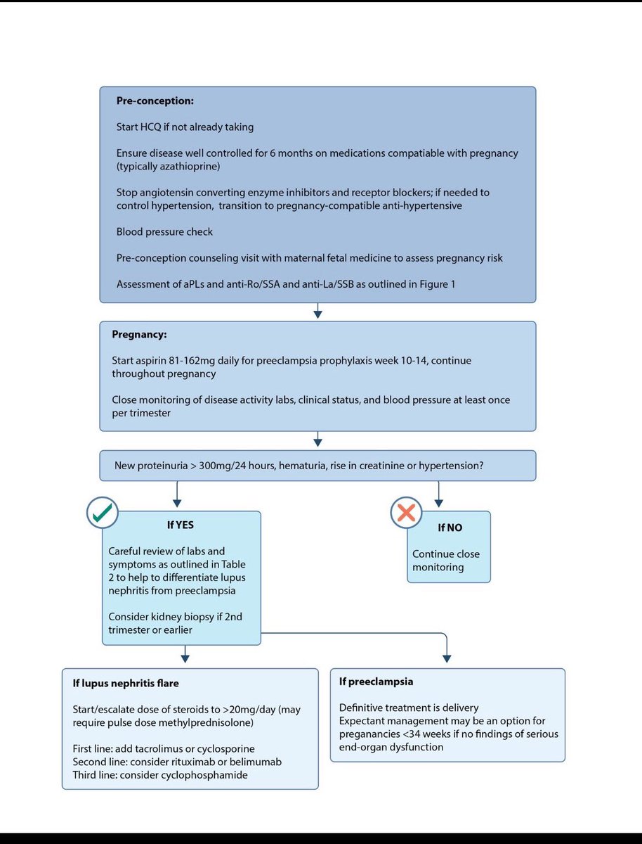 JasmineNephro's tweet photo. 👇🎯lupus nephritis in pregnancy 

✅Continue HCQ
🔥Start ecosprin  10-14wk
🦋Stop ACEi/ARB
  
👐Ds should be well controlled atleast 6 months prior 

Monitor for aPLs/Anti Ro

⏬Flare of LN in pregnancy 🤰 

https://t.co/s0jI6KwrNo https://t.co/4KB8EzEcva