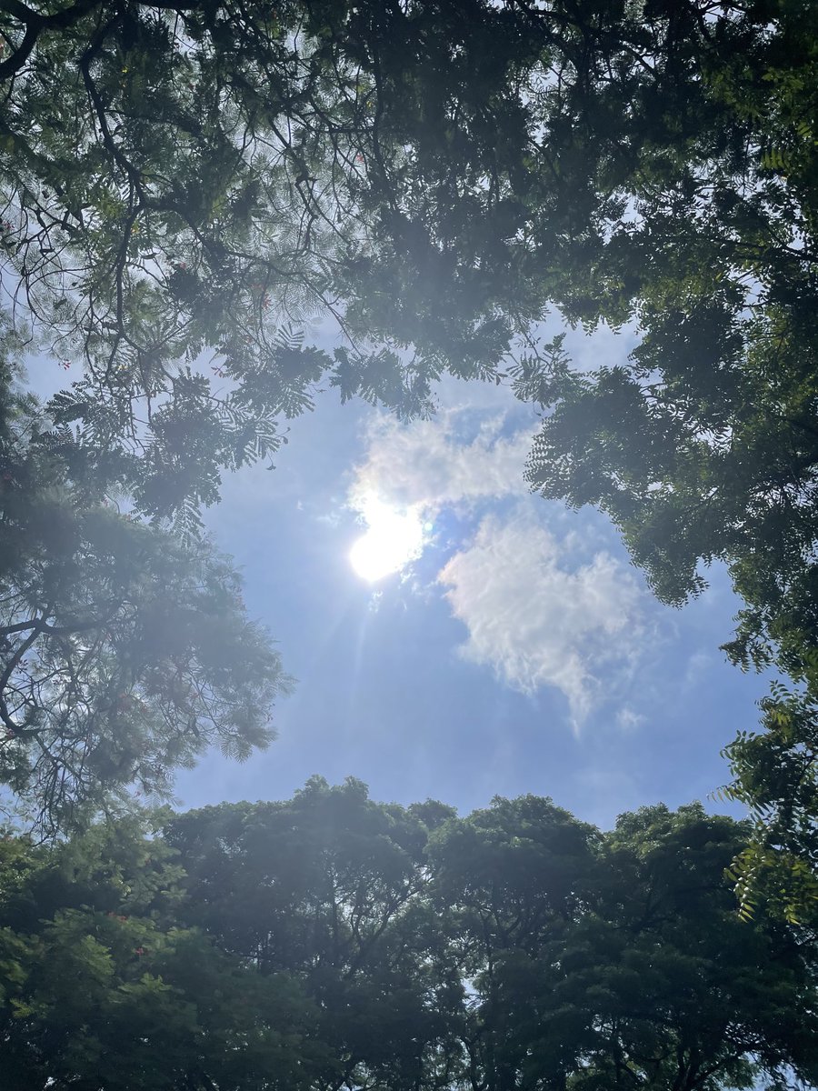 prachiniki's tweet image. #AfternoonSun💛
#BusyDay
#LatePost