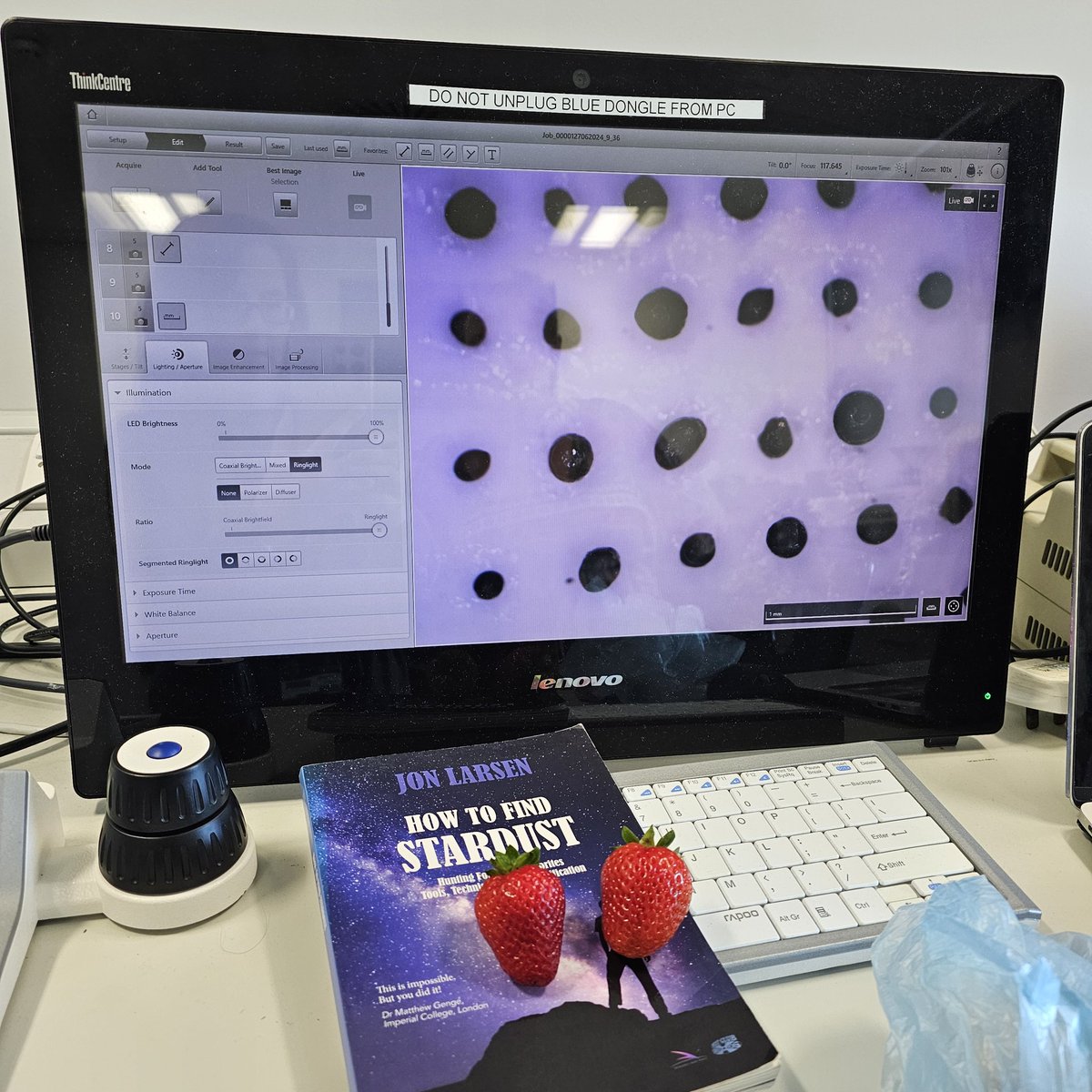 Our very own strawberry moment (from <a href="/astrocymru/">AstroCymru</a> Emma's garden😀) training ourselves on <a href="/prjstardust/">PROJECT STARDUST, MICROMETEORITE ART</a> <a href="/HotClubdNorvege/">Jon Larsen</a> 's micrometeorites!