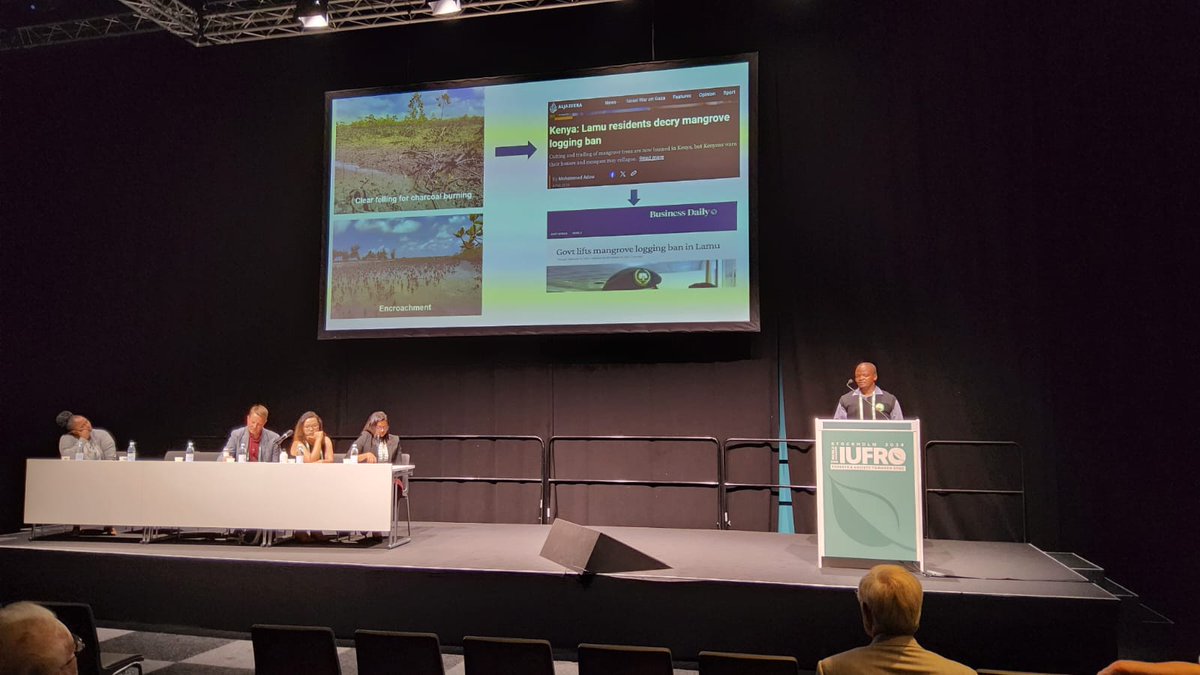 KEFRIHQ's tweet photo. Henry Komu,the Asst. Regional Director KEFRI Lamu making a presentation at the IUFRO2024 World Congress in Stockholm, Sweden. His presentation focused on the application of indigenous knowledge in the sustainable utilization and management of mangrove forests in Lamu County https://t.co/aupC4rd9Xw