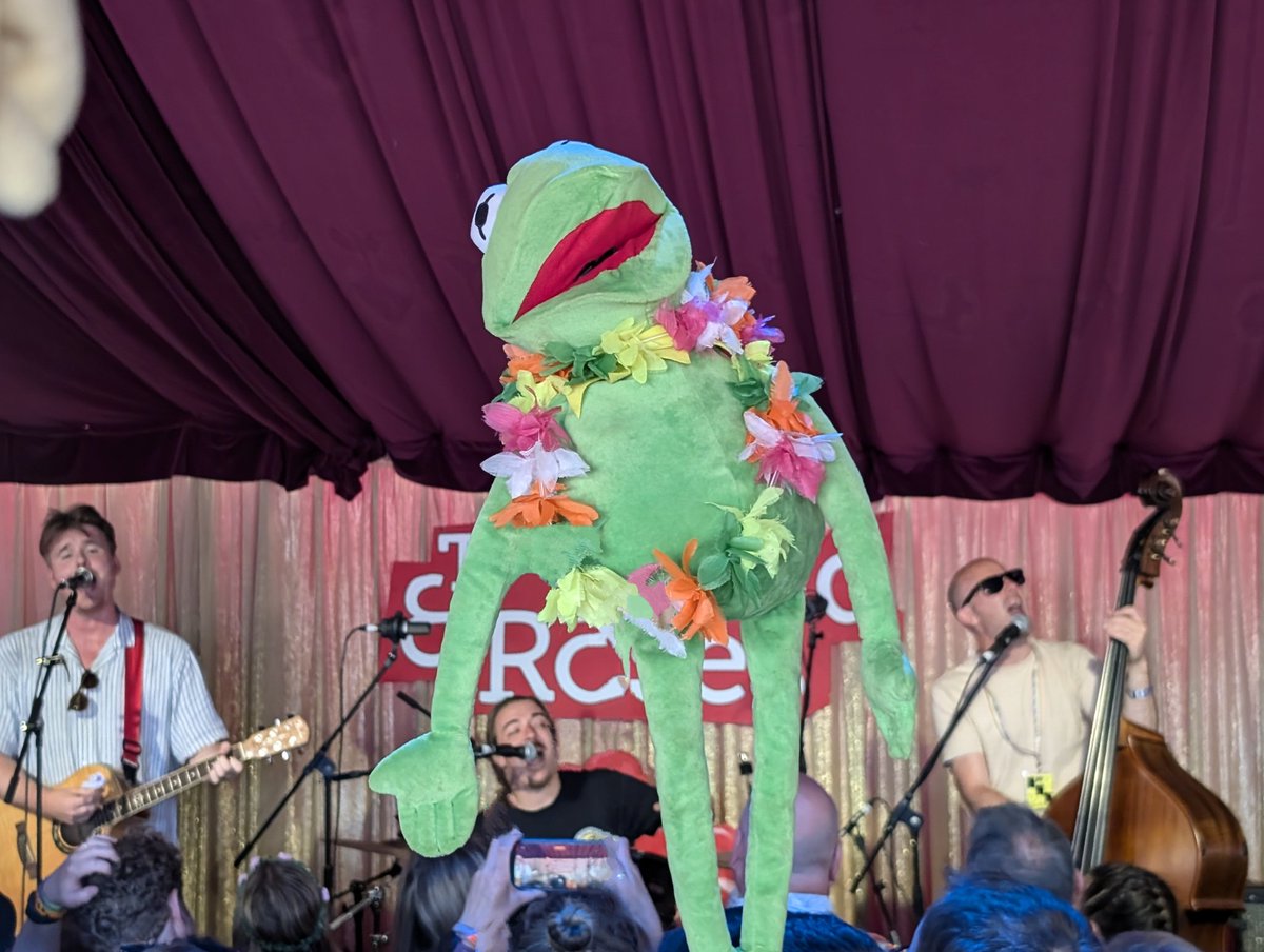 glastokermit's tweet photo. @thrillcollinsuk always smash it!!! Everyone @glastonbury you won't be dissapointed if you catch one of their other sets this weekend!!!! @DuckEddthe @AnimalGlasto @Katie_Haddow @AntGlasto https://t.co/o9xtJAQfG5