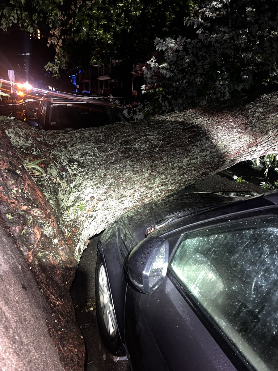 Malden Fire Dept. tweet media