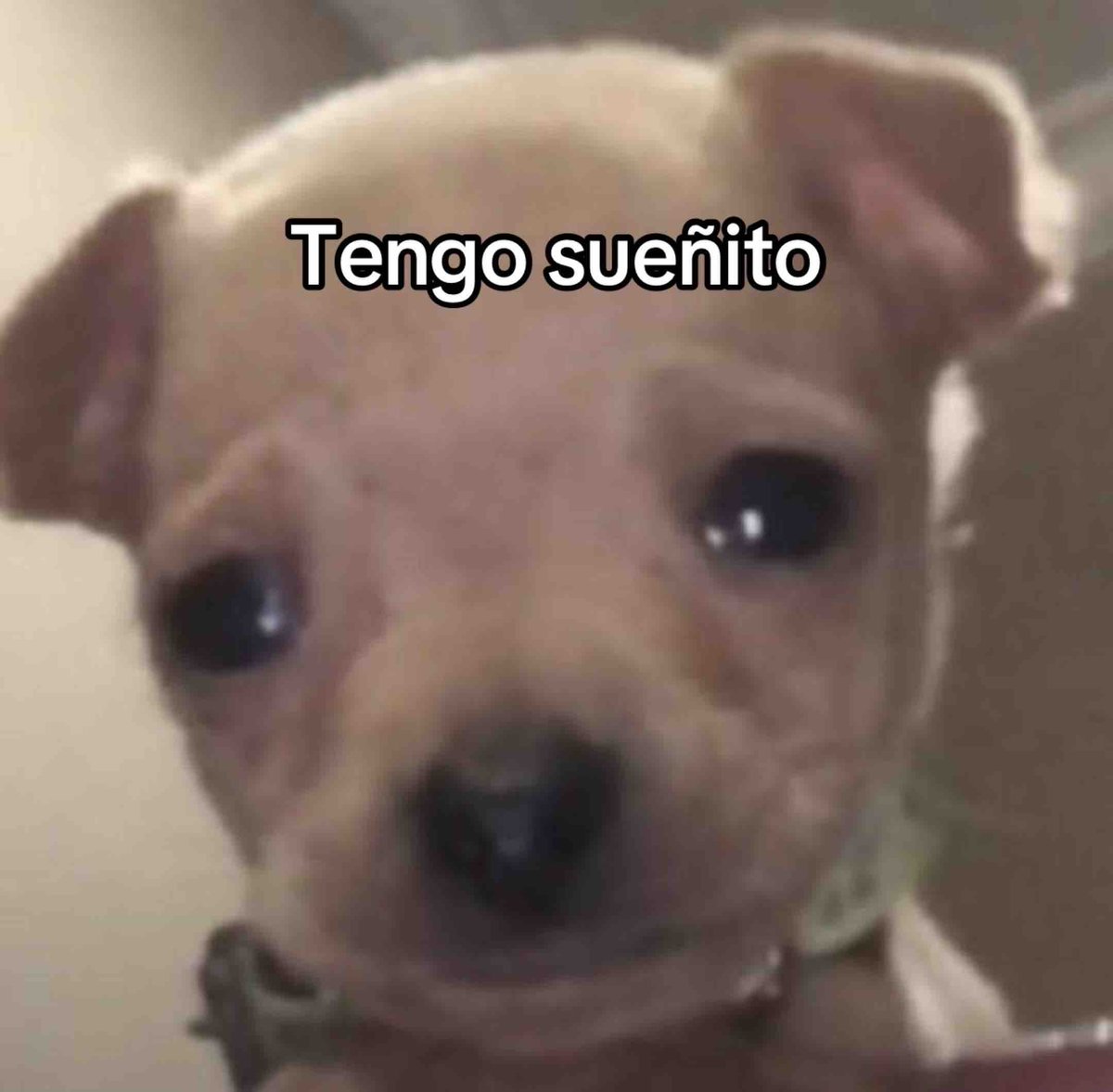 No quiero ir a la chamba