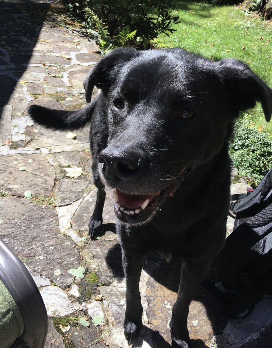 Hugh Patton tweet media