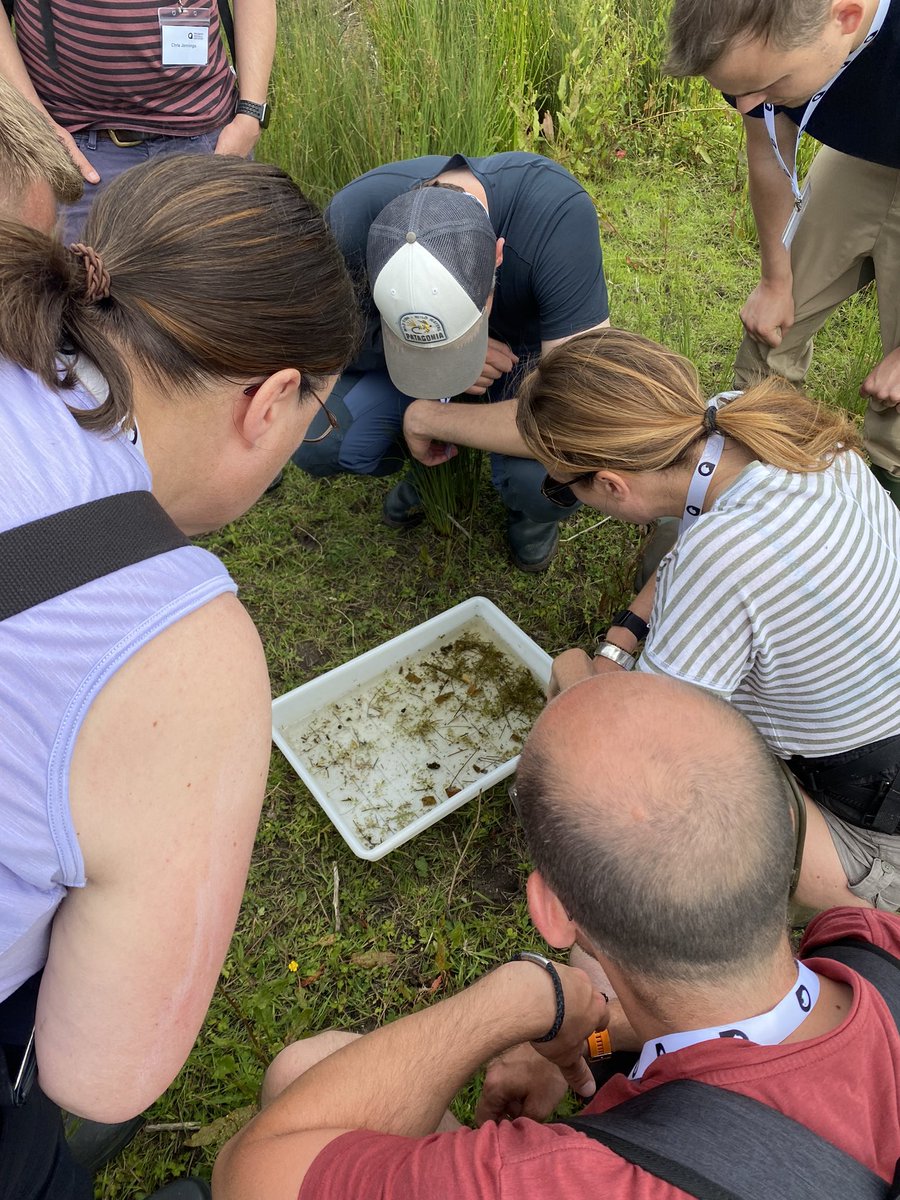 Freshwater Biological Association (FBA) (@freshwaterbio) on Twitter photo This afternoons Pond Restoration and Science field visit looking at a landscape approach to pond restoration. #EcologyTraining #Ponds <a href="/helenmgreaves/">Helen Greaves</a> <a href="/carlsayerUCL/">Prof Carl Sayer</a> <a href="/norfolkponds/">NorfolkPondsProject</a> This afternoons Pond Restoration and Science field visit looking at a landscape approach to pond restoration. #EcologyTraining #Ponds <a href="/helenmgreaves/">Helen Greaves</a> <a href="/carlsayerUCL/">Prof Carl Sayer</a> <a href="/norfolkponds/">NorfolkPondsProject</a>