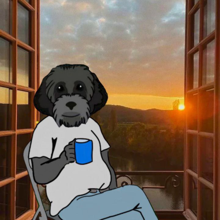 MyroSOL's tweet photo. @rajgokal GMyro 🐕‍🦺 https://t.co/V6a8eufDm5