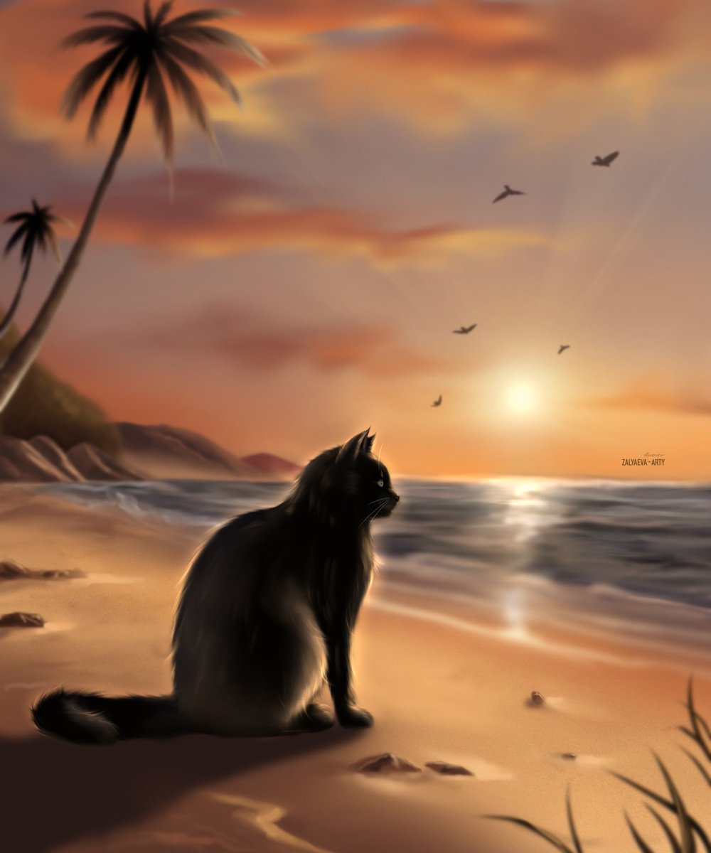 Cat on Seashore | AI Art Generator | Easy-Peasy.AI, image size:1000x1200