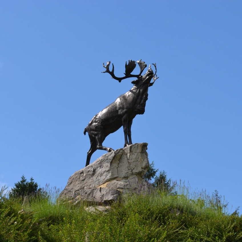 Today, we also remember the Battle of Beaumont-Hamel.

“The losses sustained by the Newfoundland Regiment at Beaumont-Hamel on July 1, 1916, were staggering. Of the some 800 Newfoundlanders who went into battle, only 68 were able to answer the roll call the next day.”