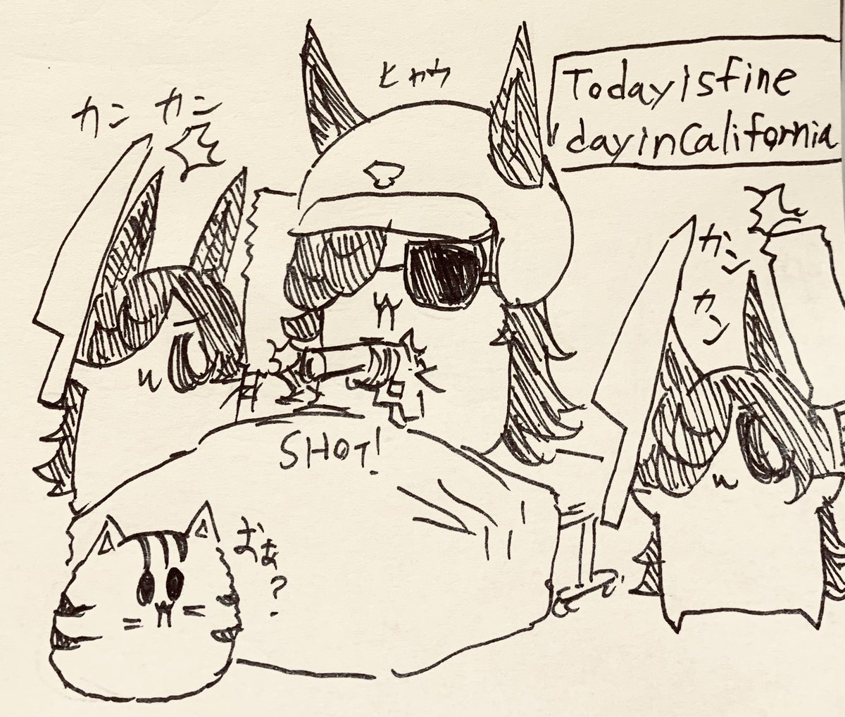 明日は金曜日… 
