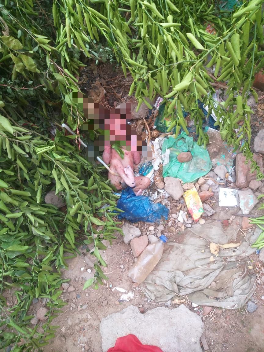sanghaviharsh's tweet photo. *Ahemdabad Rural Police saved a newborn with help of Heroic Dog named  Chaser and Compassionate citizen Swetha*

In a heart-wrenching incident, a newborn was found abandoned on the road by its parents. The vulnerable infant was lying exposed, with dogs barking around it. Passerby Swetha noticed the commotion and swiftly intervened, rescuing the newborn and taking it to the nearest private hospital. She promptly informed the police.

The Ahmedabad Rural Police acted promptly, transferring the newborn to a higher medical facility where women police staff were deployed to ensure the child's care. To investigate the crime, the scene was cordoned off, and during the search, a dupatta was discovered.

The dog squad was called in, and a dog named Chaser began tracing the suspect. Chaser impressively tracked the scent to a house located around 500 meters away, pinpointing the exact location on the first floor. The accused, an unmarried woman from Rajasthan, had been involved in an affair and sought to conceal her unwanted pregnancy.

With the help of vigilant citizen Swetha Ahmedabad Rural Police detected the offence using Dog named *Chaser* . The newborn is now stable and receiving proper care. This case highlights the remarkable compassion of Swetha, the extraordinary capabilities of the dog Chaser, and the prompt action and teamwork of the Ahmedabad Rural Police in solving crimes and saving lives.