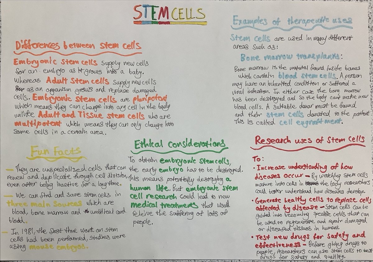 craigiescience's tweet image. Some superb information organisers on stem cells from this week! A mixture of media to allow for personalisation and choice. #informationorganiser #biology #stemcells #activatebuildconsolidate