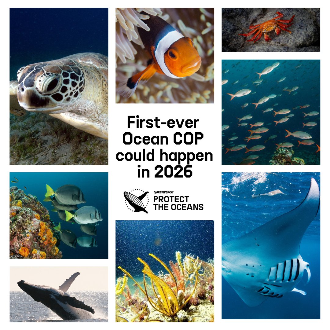Greenpeace's tweet photo. So far only 7 governments have ratified the Global Ocean Treaty and at least 60 are needed for the Treaty to enter into force. All governments must seize this opportunity to ratify NOW!
https://t.co/AxPsttmAsu

#ProtectTheOceans https://t.co/JuHfN1arhR