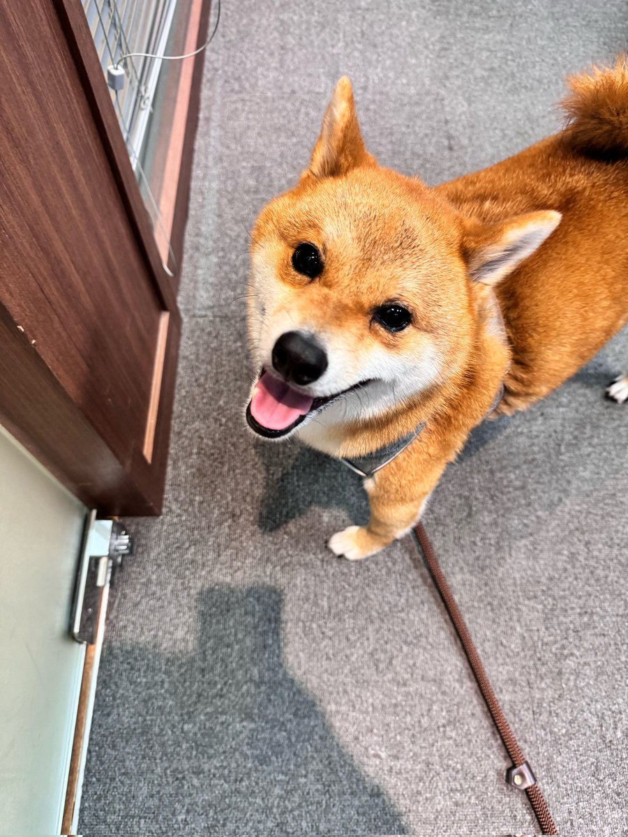 🐰💭
2024/06/27 10:40 pm KST