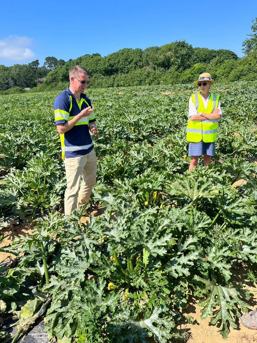 teamcollins5's tweet photo. Delighted to welcome the 2008 ACABM @WCFAlumni to sunny Cornwall yesterday &amp; show them around some of our crops, beautiful scenery &amp; the story behind Cornish brassica here at @Riviera_Produce. Great group with the visit organised by my old colleague and friend @Longwool 🥦🥬🚜😎 https://t.co/IRrsUQ3zKZ