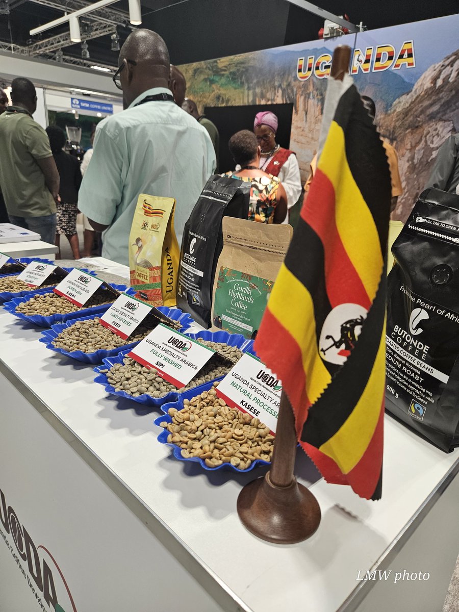 UCDA Board Chair <a href="/CharlesMugoya/">Charles Mugoya</a> commends Uganda's producers and exporters at the #WorldOfCoffee 2024 in Denmark. Uganda is proudly showcasing its finest coffee &amp; connecting with global industry leaders. #UgandaCoffee #UCDA