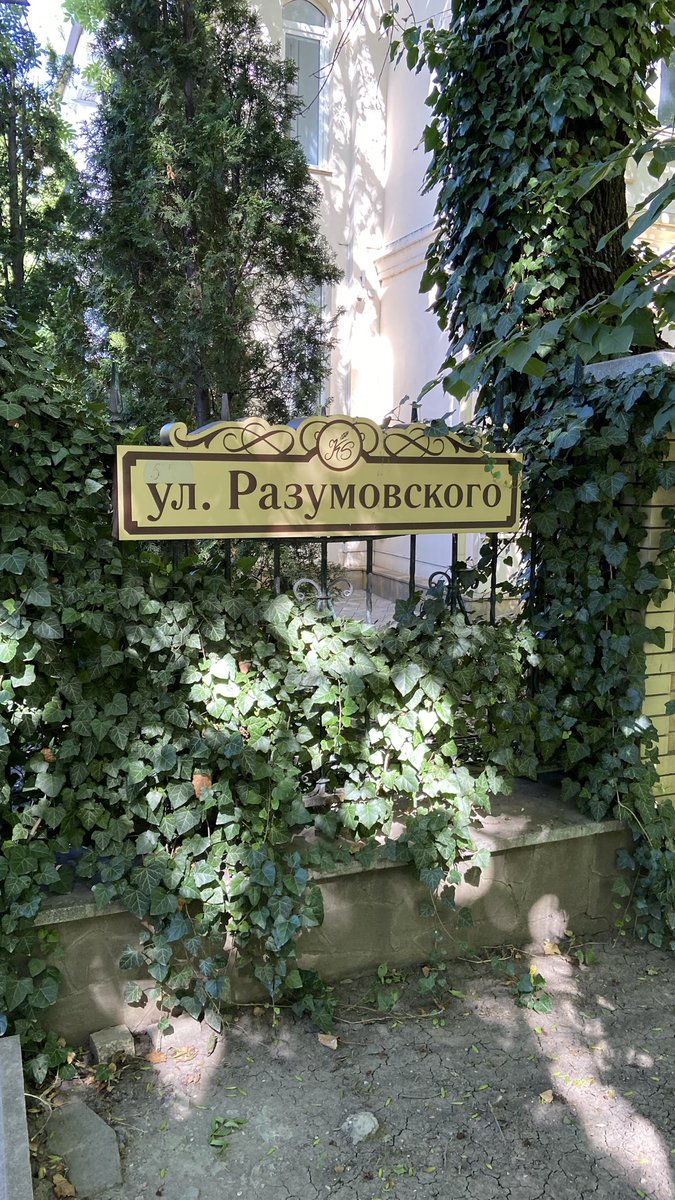 Доктор Мяу tweet media