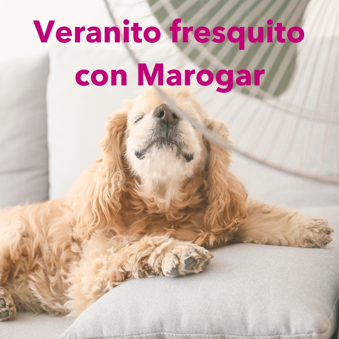 MarogarH's tweet photo. Haz tu pedido en https://t.co/m4tTbHI7gG o ven y descubre nuestra tienda en Alaquàs
Carrer del Convent, 3
#alaquas #decoracion #electrodomesticosvalencia https://t.co/TJ9KDRS5dw