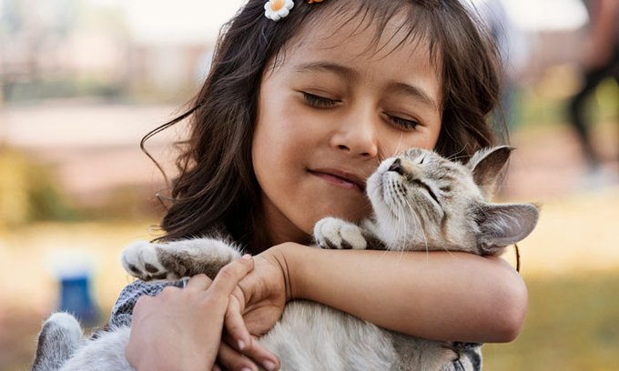 Una sociedad puede ser juzgada por la manera en que trata a sus animales. 

#NoAlMaltratoAnimal 
#FundaciónSonríe