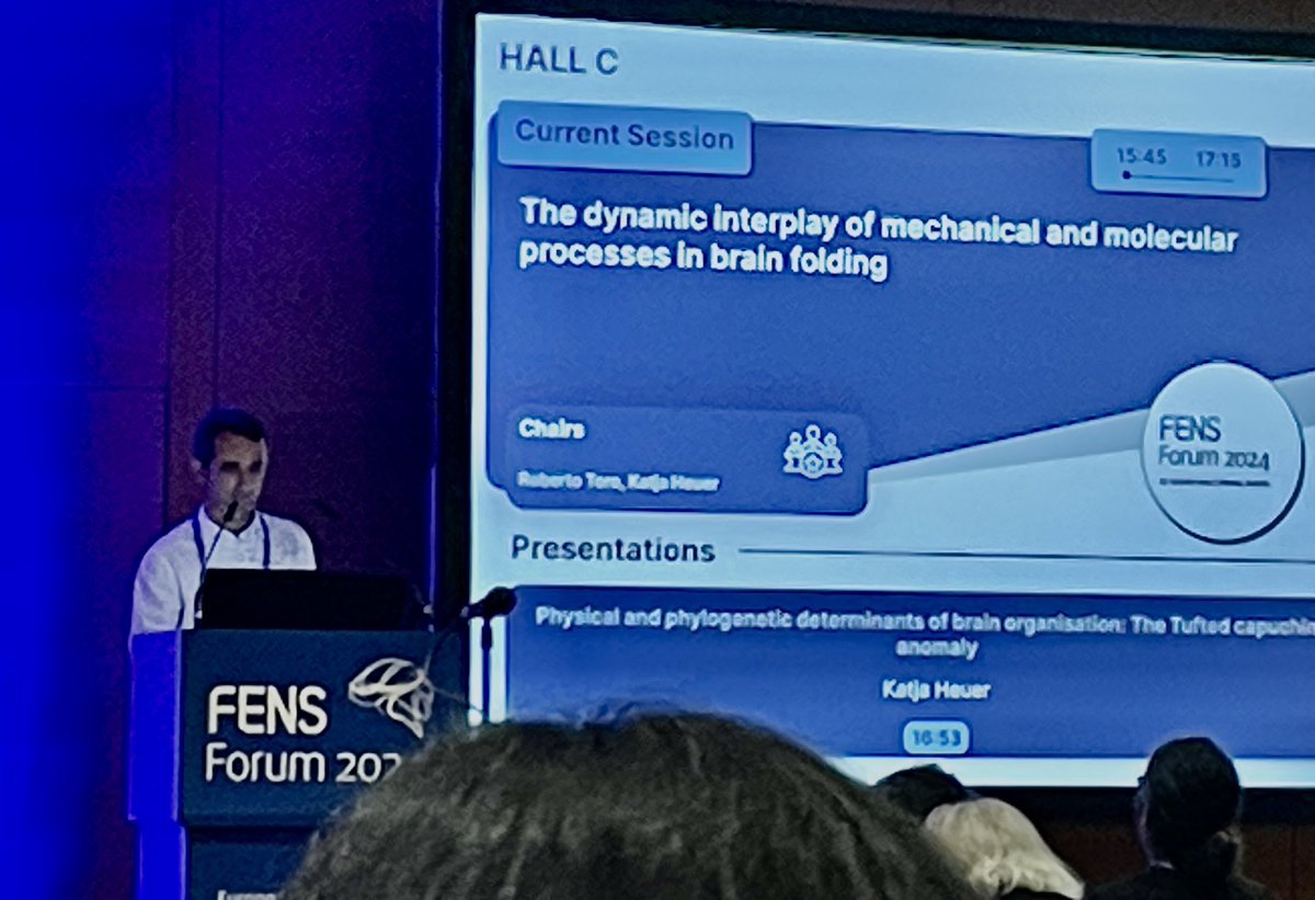 Amazing talk <a href="/BorrellLab/">Borrell Lab</a> <a href="/NeuroAlc/">Instituto de Neurociencias UMH-CSIC</a> <a href="/CSIC/">CSIC</a> <a href="/UniversidadMH/">UMH</a> #FENSForum2024